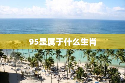 95是属于什么生肖