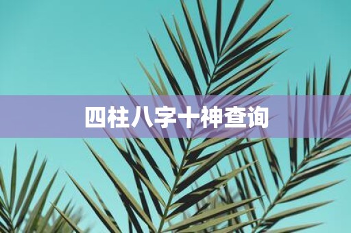 四柱八字十神查询