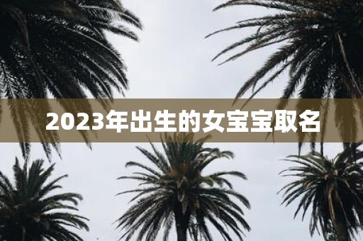 2025年出生的女宝宝取名