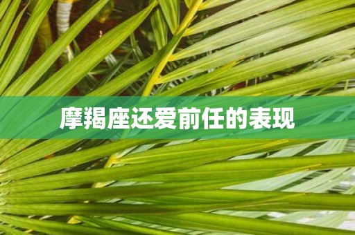 摩羯座还爱前任的表现