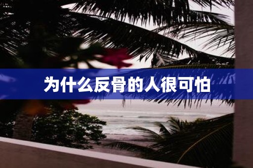 为什么反骨的人很可怕