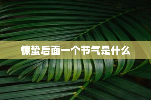 惊蛰后面一个节气是什么