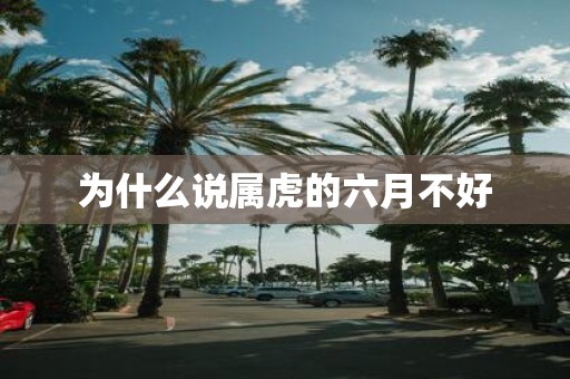 为什么说属虎的六月不好