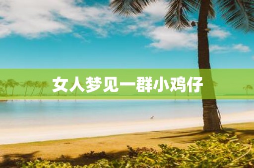 女人梦见一群小鸡仔