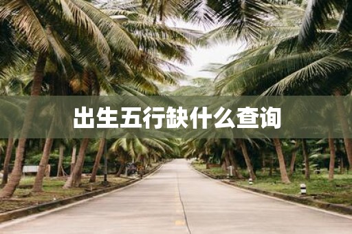 出生五行缺什么查询