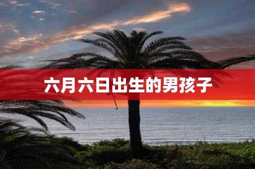 六月六日出生的男孩子