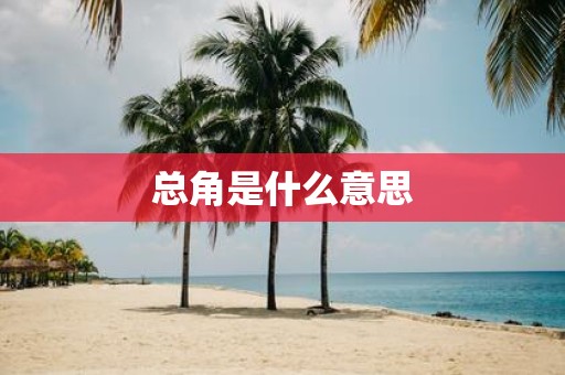 总角是什么意思