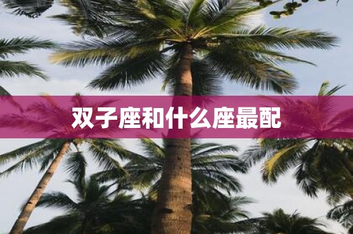 双子座和什么座最配