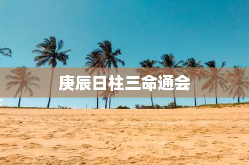 庚辰日柱三命通会