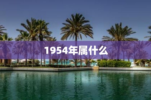 1954年属什么