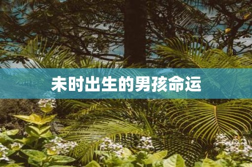 未时出生的男孩命运