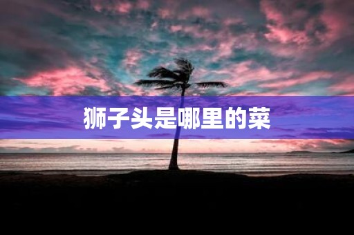 狮子头是哪里的菜