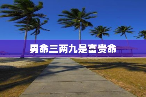 男命三两九是富贵命