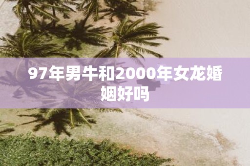 97年男牛和2000年女龙婚姻好吗