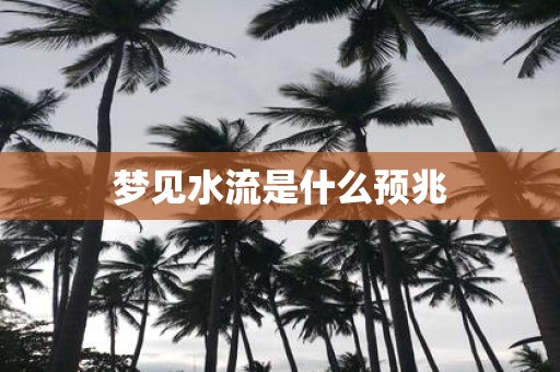 梦见水流是什么预兆