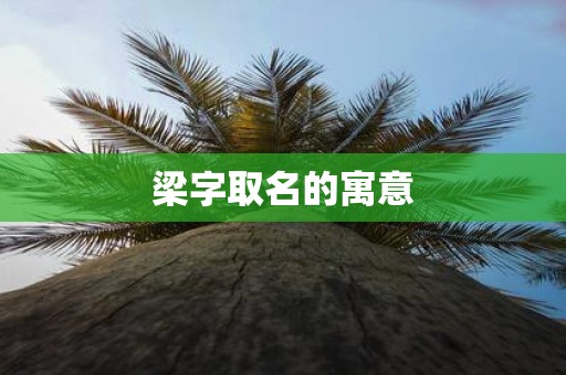 梁字取名的寓意