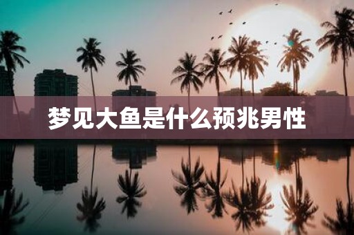 梦见大鱼是什么预兆男性