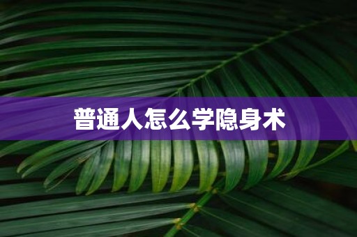 普通人怎么学隐身术