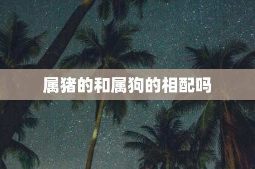 属猪的和属狗的相配吗
