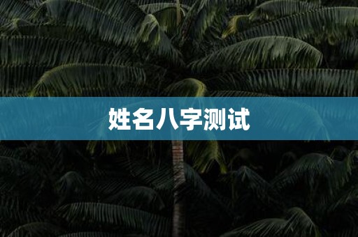 姓名八字测试
