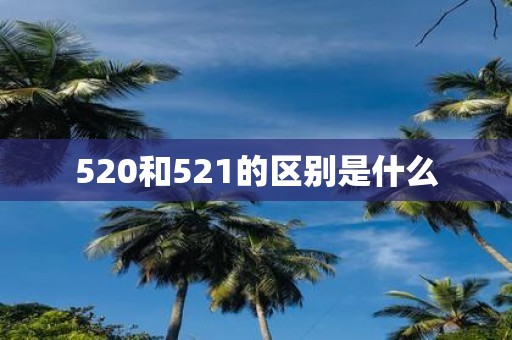 520和521的区别是什么