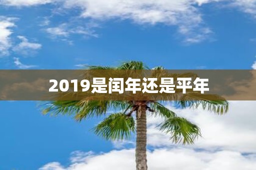 2019是闰年还是平年