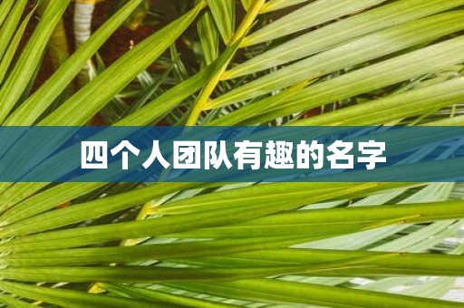 四个人团队有趣的名字