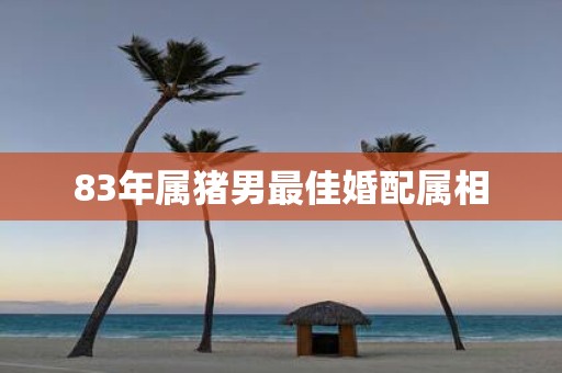83年属猪男最佳婚配属相