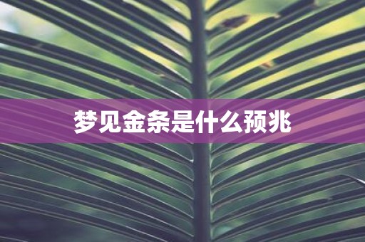 梦见金条是什么预兆