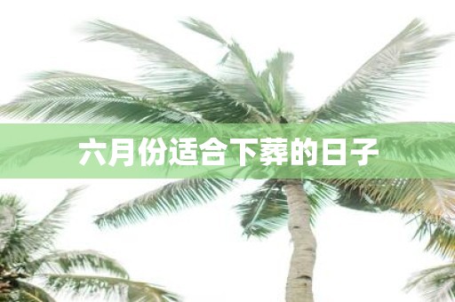 六月份适合下葬的日子