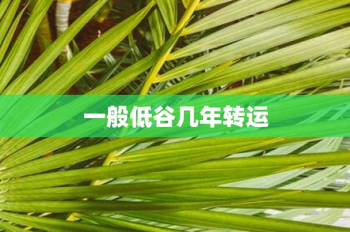 一般低谷几年转运