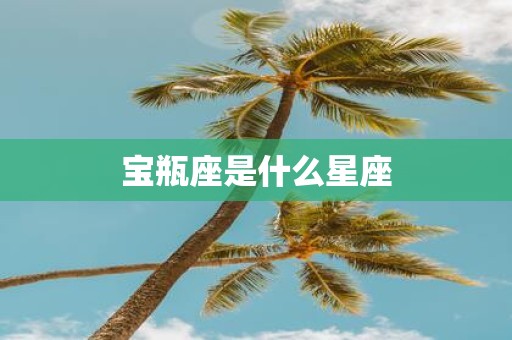宝瓶座是什么星座