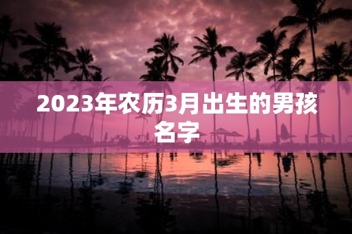 2025年农历3月出生的男孩名字