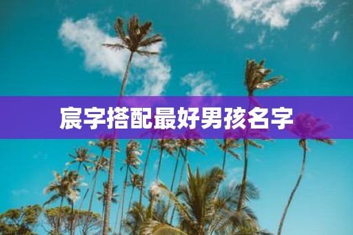 宸字搭配最好男孩名字