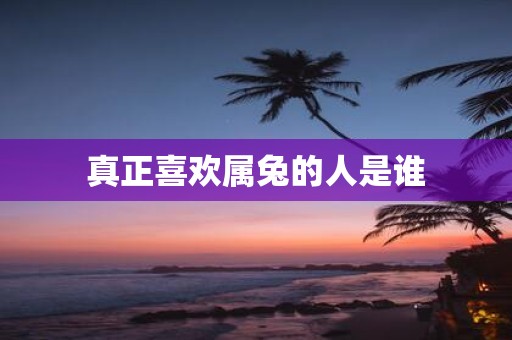 真正喜欢属兔的人是谁