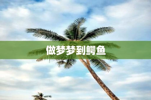 做梦梦到鳄鱼