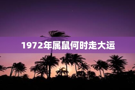 1972年属鼠何时走大运