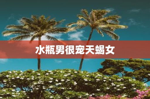 水瓶男很宠天蝎女
