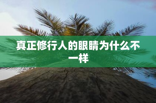 真正修行人的眼睛为什么不一样