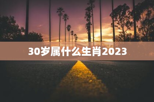 30岁属什么生肖2025