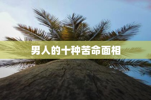 男人的十种苦命面相