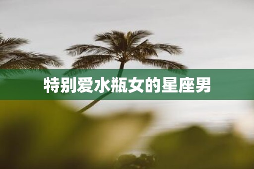 特别爱水瓶女的星座男