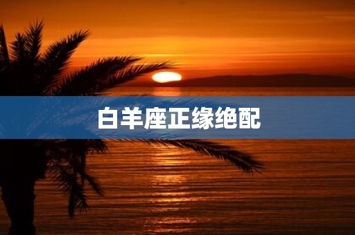 白羊座正缘绝配