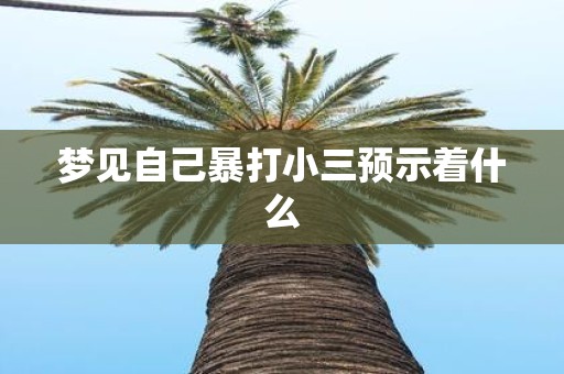 梦见自己暴打小三预示着什么