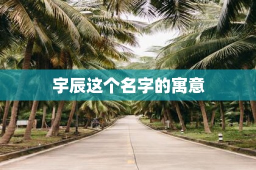 宇辰这个名字的寓意