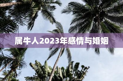 属牛人2025年感情与婚姻