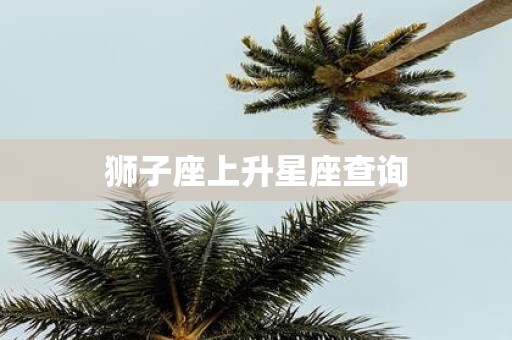 狮子座上升星座查询