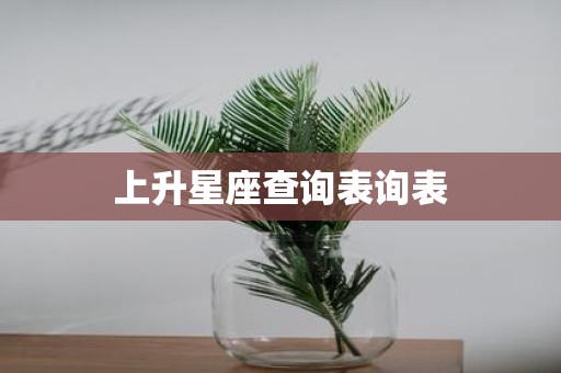 上升星座查询表询表