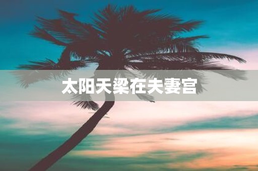 太阳天梁在夫妻宫