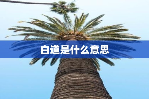 白道是什么意思